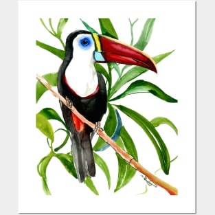 Toucan In the Jungle, White-Throated Toucan Posters and Art